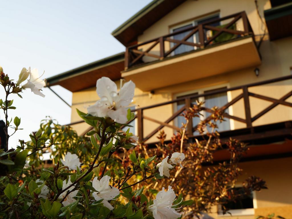 Anandaresort - Vegewakacje Władysławowo Exterior foto