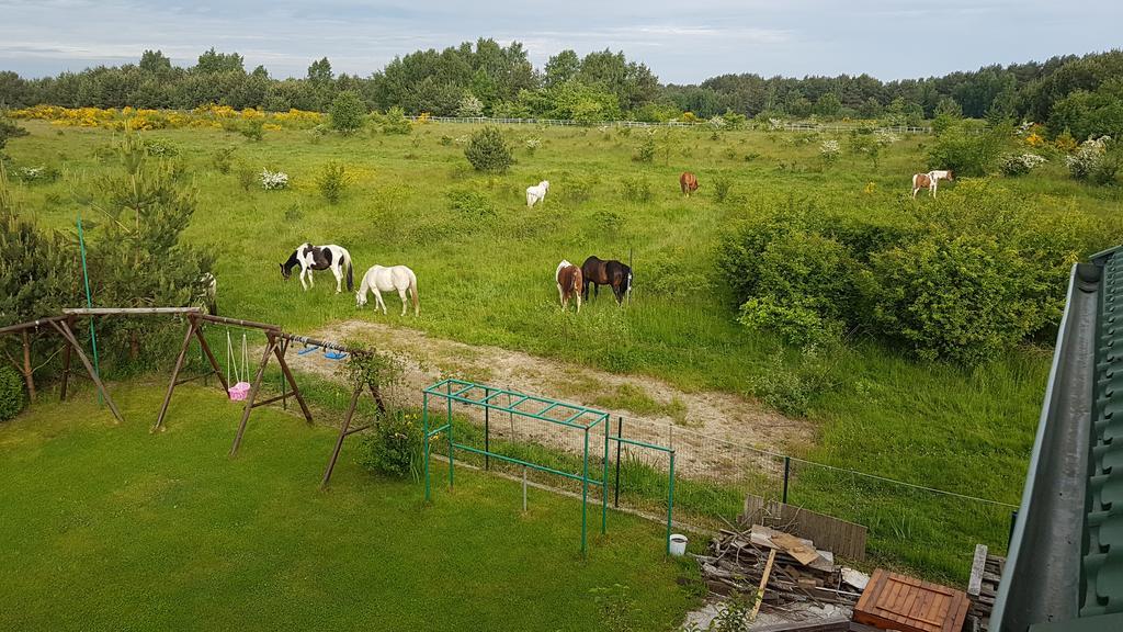 Anandaresort - Vegewakacje Władysławowo Exterior foto